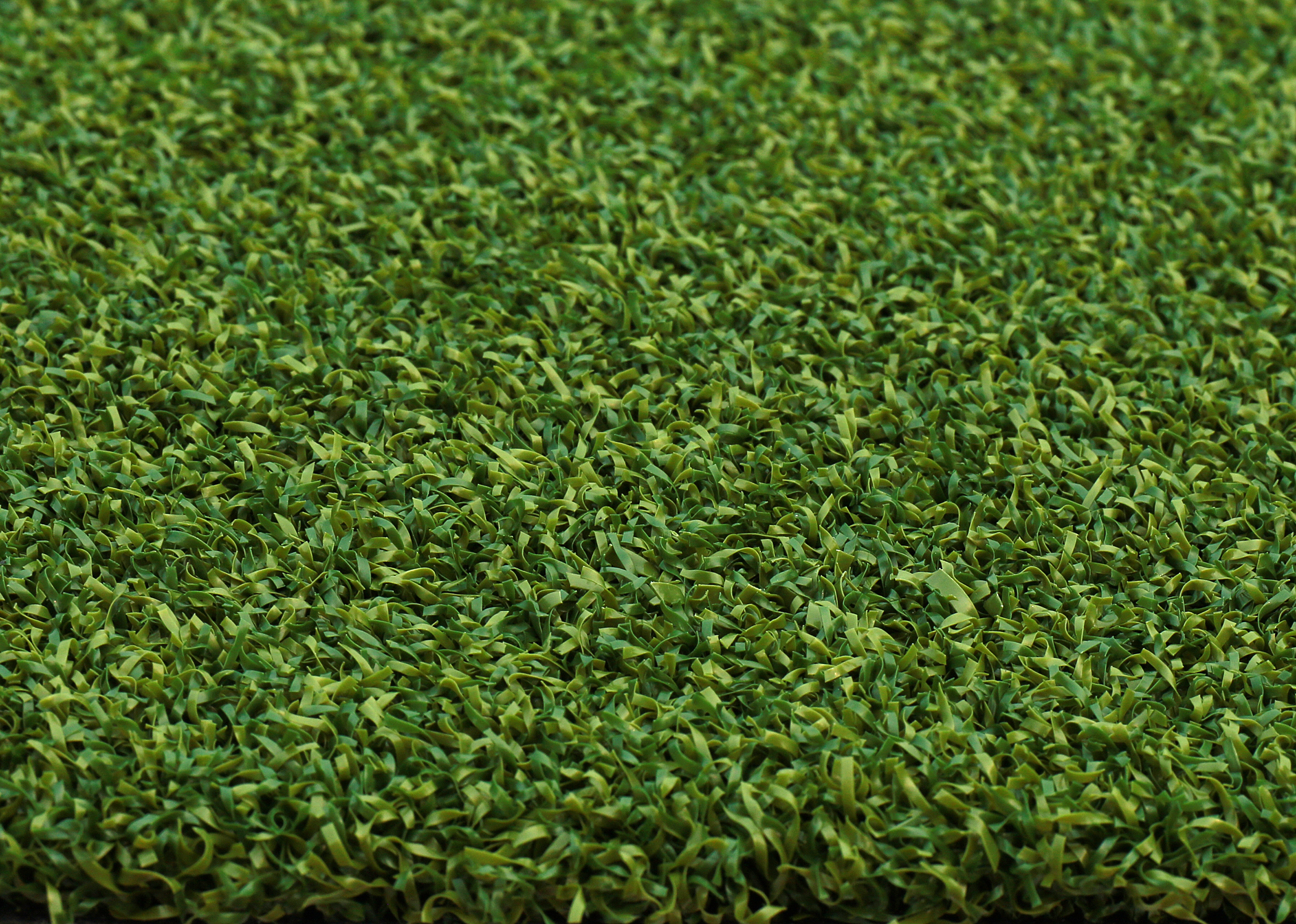 色牢度强的曲形高尔夫球草皮，用于果岭草